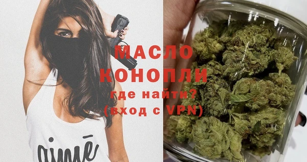 твердый Арсеньев
