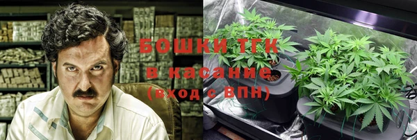 твердый Арсеньев