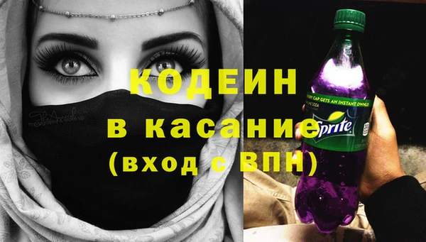 твердый Арсеньев
