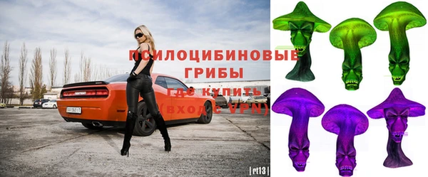 твердый Арсеньев